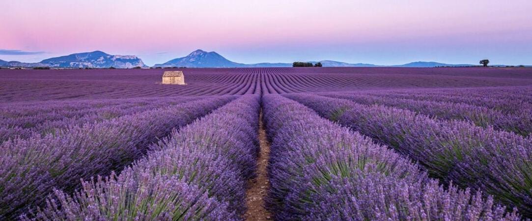 B&B La Douloire แปร์นส์-เลส์-ฟงแตนส์ ภายนอก รูปภาพ